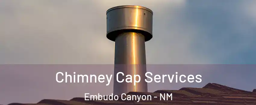 Chimney Cap Services Embudo Canyon - NM
