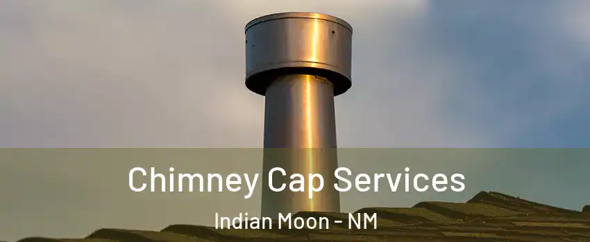 Chimney Cap Services Indian Moon - NM