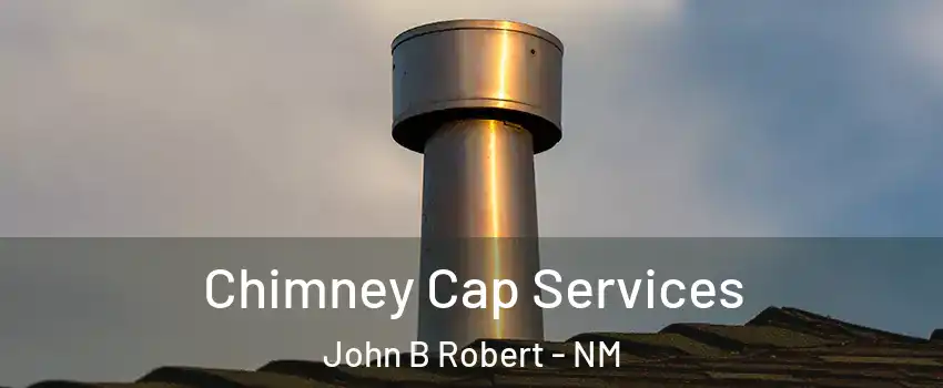 Chimney Cap Services John B Robert - NM