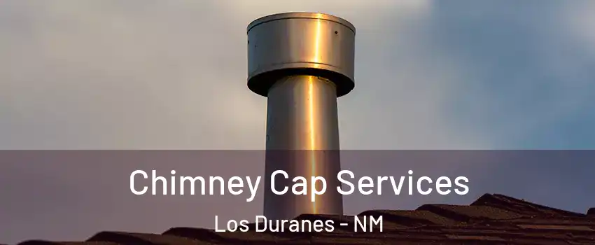 Chimney Cap Services Los Duranes - NM