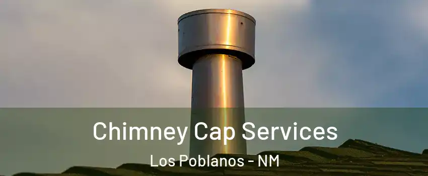 Chimney Cap Services Los Poblanos - NM