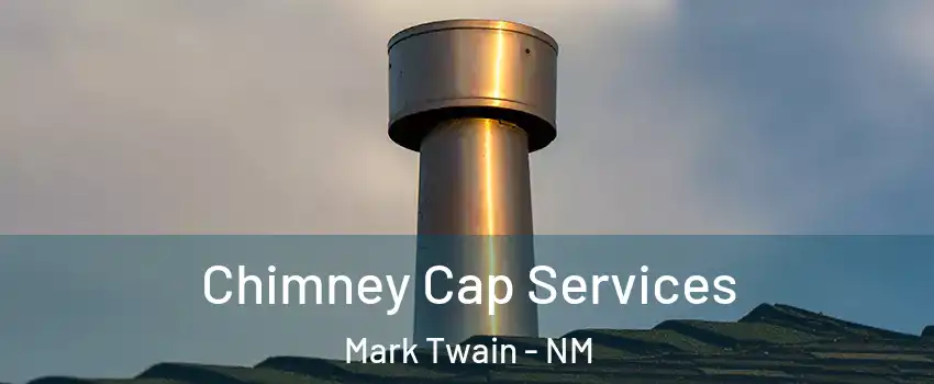 Chimney Cap Services Mark Twain - NM