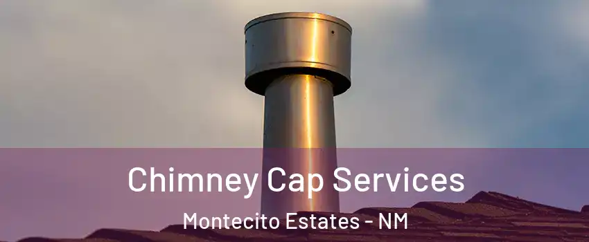 Chimney Cap Services Montecito Estates - NM