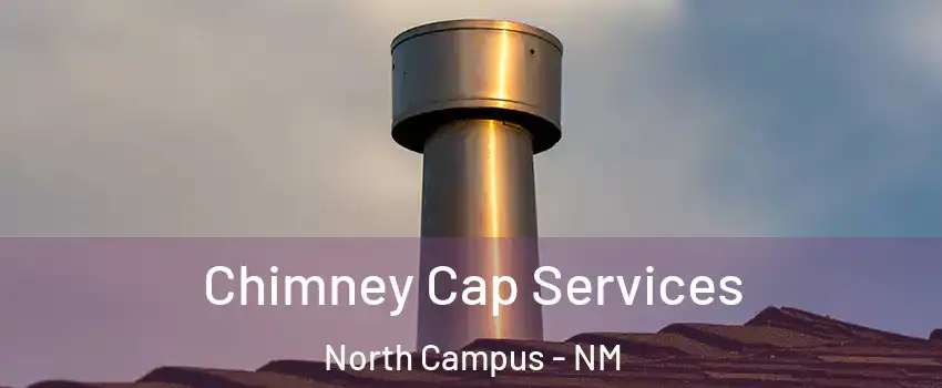 Chimney Cap Services North Campus - NM