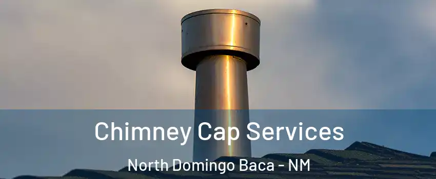 Chimney Cap Services North Domingo Baca - NM