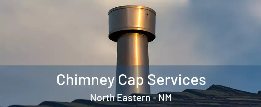 Chimney Cap Services North Eastern - NM
