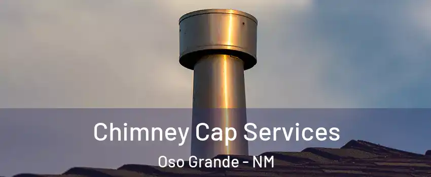 Chimney Cap Services Oso Grande - NM
