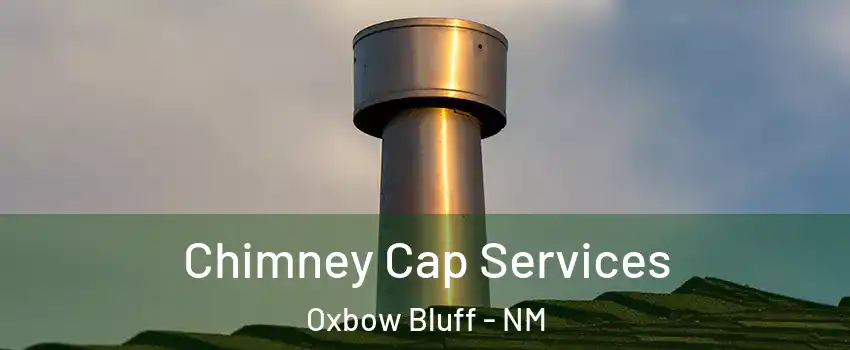 Chimney Cap Services Oxbow Bluff - NM