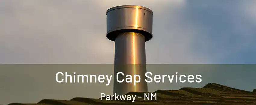 Chimney Cap Services Parkway - NM
