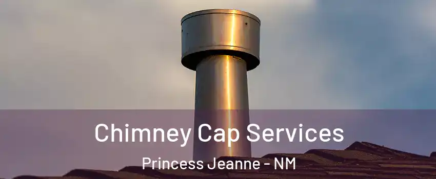 Chimney Cap Services Princess Jeanne - NM