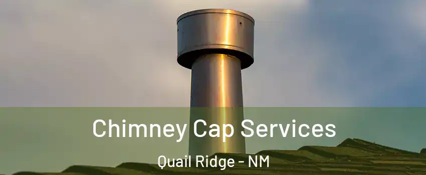 Chimney Cap Services Quail Ridge - NM