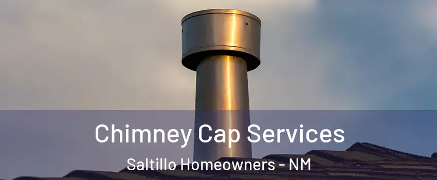 Chimney Cap Services Saltillo Homeowners - NM