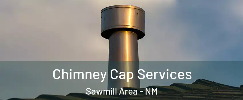 Chimney Cap Services Sawmill Area - NM
