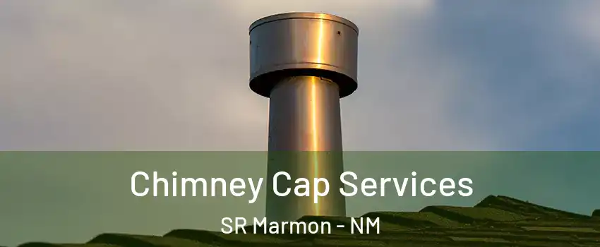 Chimney Cap Services SR Marmon - NM