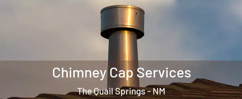 Chimney Cap Services The Quail Springs - NM