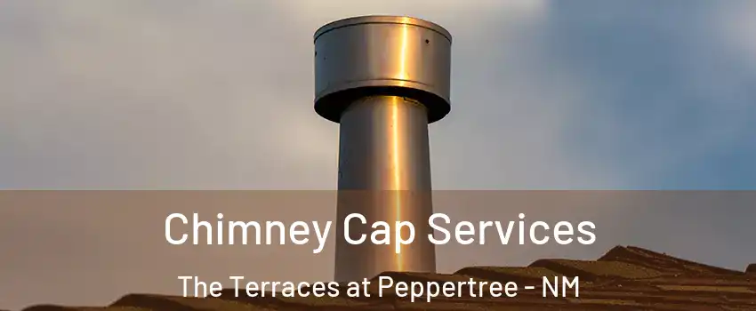 Chimney Cap Services The Terraces at Peppertree - NM