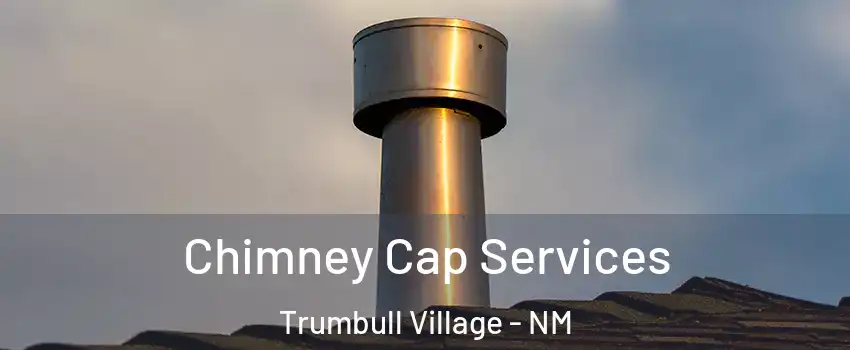 Chimney Cap Services Trumbull Village - NM
