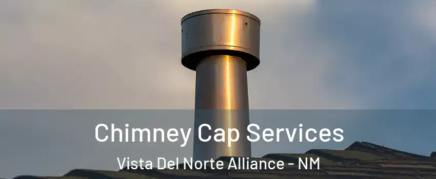 Chimney Cap Services Vista Del Norte Alliance - NM