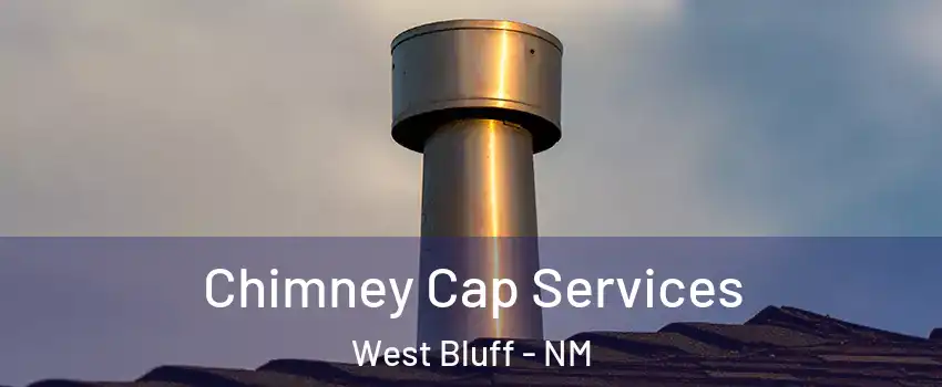 Chimney Cap Services West Bluff - NM