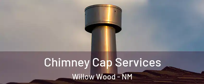 Chimney Cap Services Willow Wood - NM