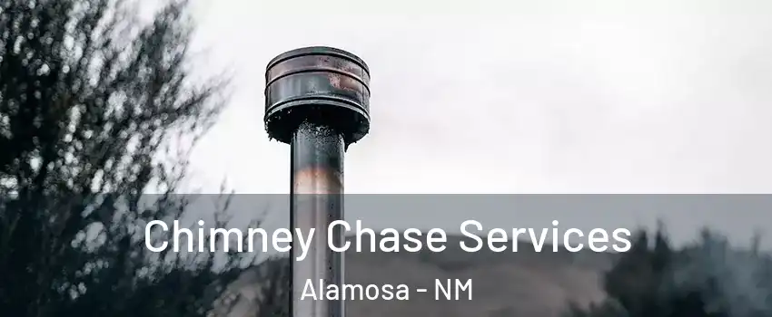 Chimney Chase Services Alamosa - NM