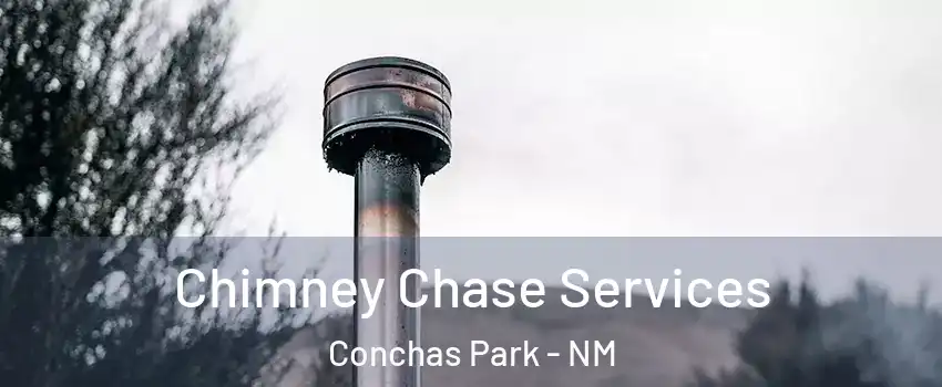 Chimney Chase Services Conchas Park - NM