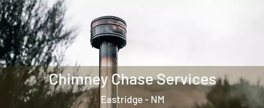 Chimney Chase Services Eastridge - NM