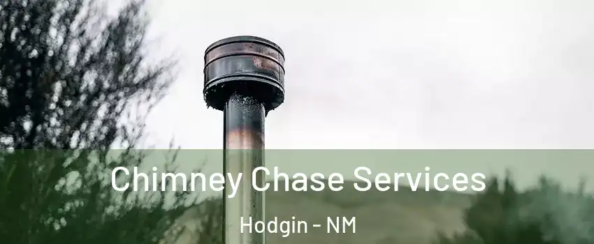 Chimney Chase Services Hodgin - NM