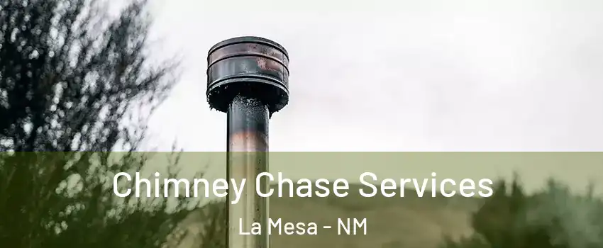 Chimney Chase Services La Mesa - NM