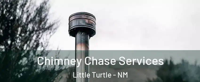 Chimney Chase Services Little Turtle - NM