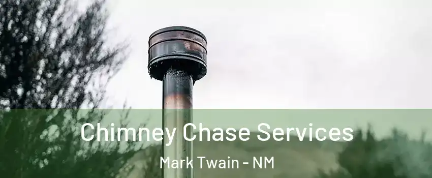 Chimney Chase Services Mark Twain - NM