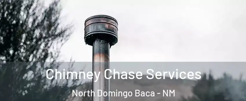 Chimney Chase Services North Domingo Baca - NM