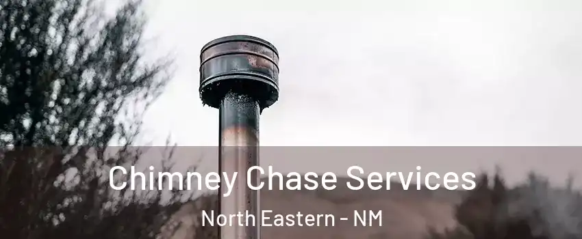 Chimney Chase Services North Eastern - NM