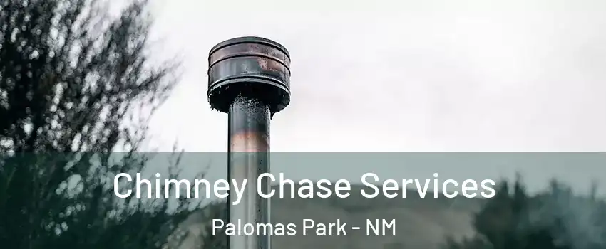Chimney Chase Services Palomas Park - NM