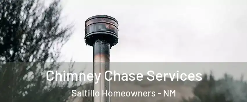 Chimney Chase Services Saltillo Homeowners - NM