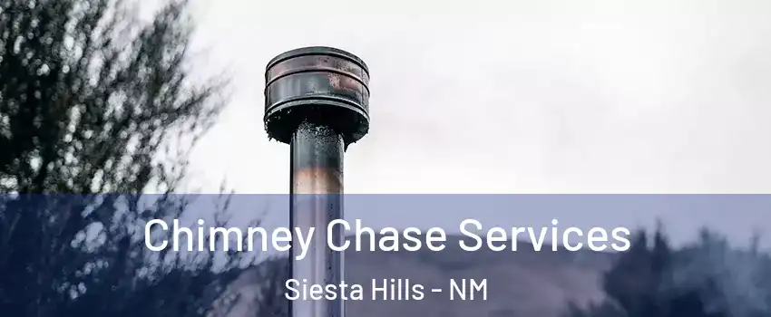 Chimney Chase Services Siesta Hills - NM