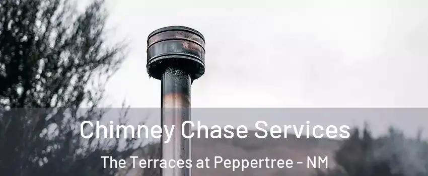 Chimney Chase Services The Terraces at Peppertree - NM