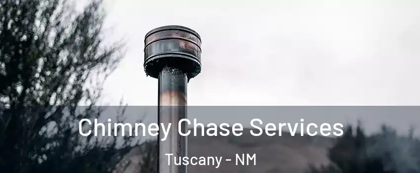 Chimney Chase Services Tuscany - NM