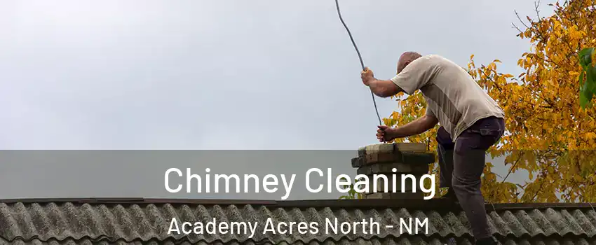 Chimney Cleaning Academy Acres North - NM