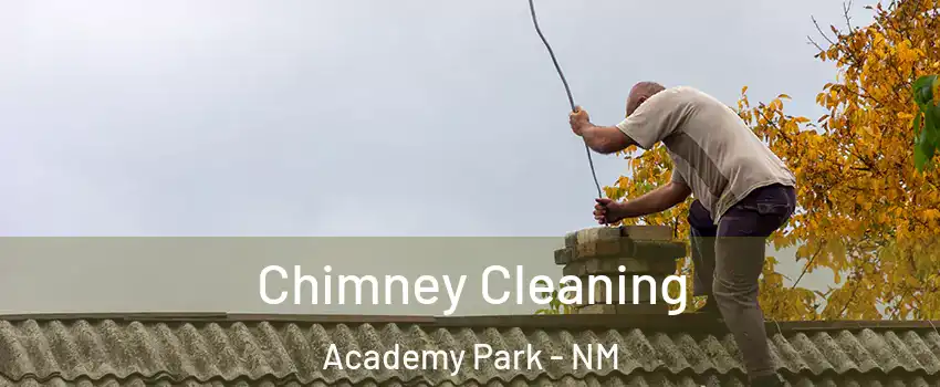 Chimney Cleaning Academy Park - NM