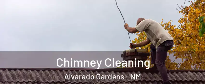 Chimney Cleaning Alvarado Gardens - NM