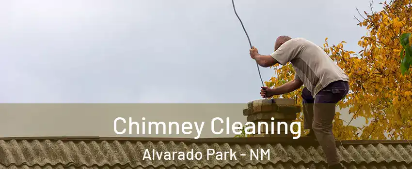 Chimney Cleaning Alvarado Park - NM