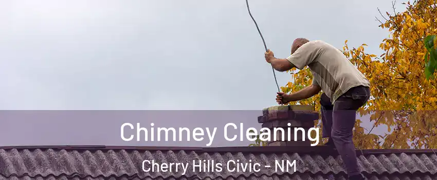 Chimney Cleaning Cherry Hills Civic - NM