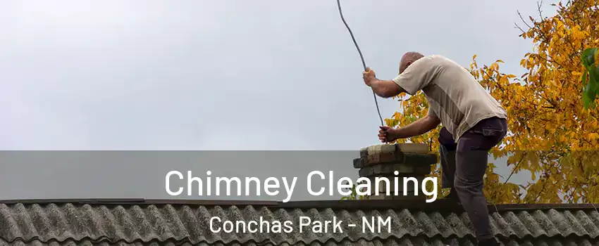 Chimney Cleaning Conchas Park - NM