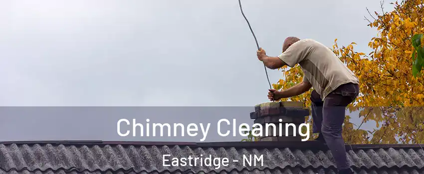 Chimney Cleaning Eastridge - NM