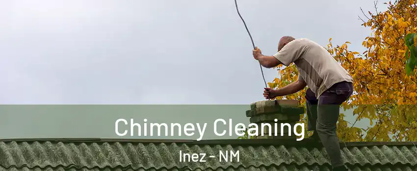 Chimney Cleaning Inez - NM