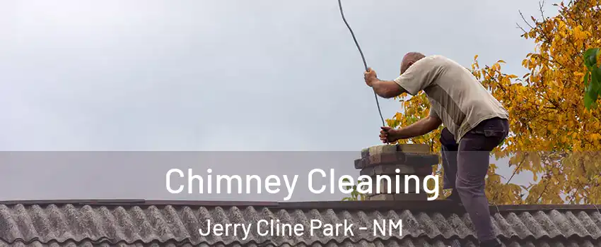 Chimney Cleaning Jerry Cline Park - NM