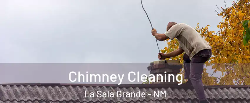 Chimney Cleaning La Sala Grande - NM