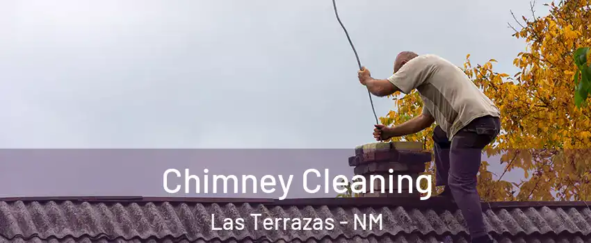 Chimney Cleaning Las Terrazas - NM