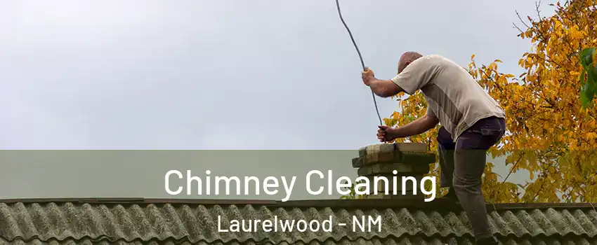 Chimney Cleaning Laurelwood - NM